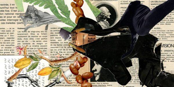 Portada. Alternances i permutacions. Imatge d’Imanol Buisan