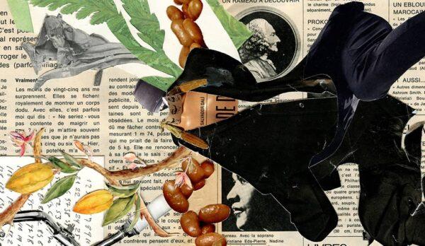 Portada. Alternances i permutacions. Imatge d’Imanol Buisan