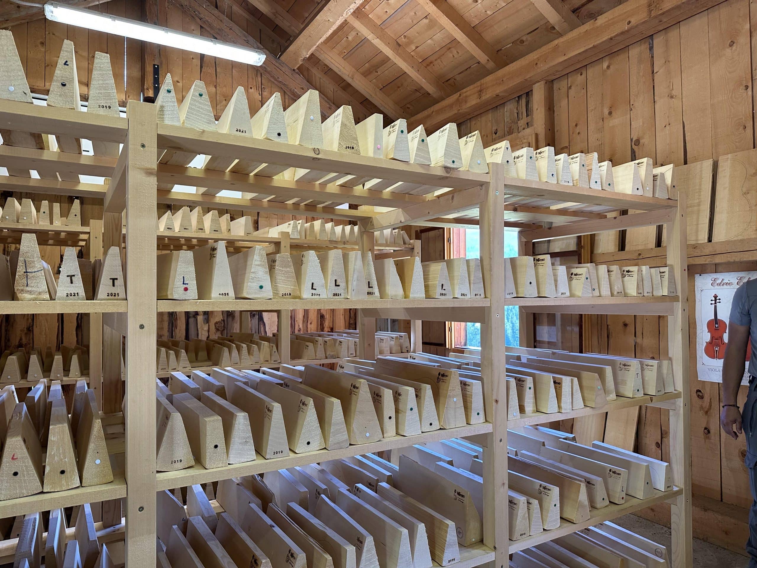 Peces reposant a la Xiloteca