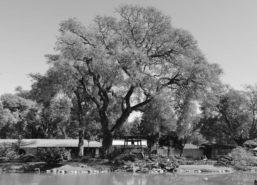 Autor: mlourph. Font: Pexels