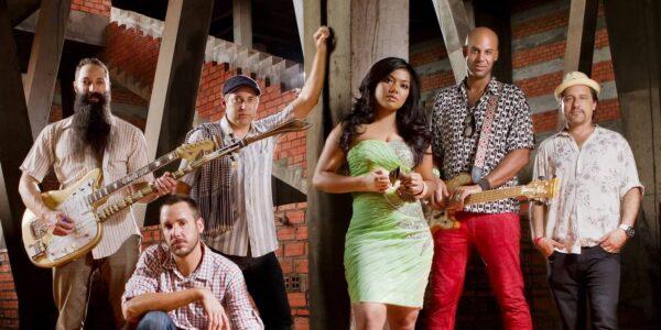 Dengue Fever