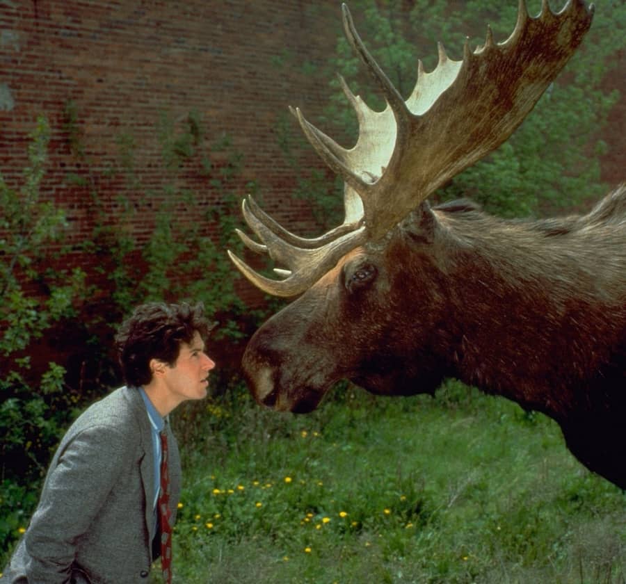 Doctor en Alaska de perfil amb ant