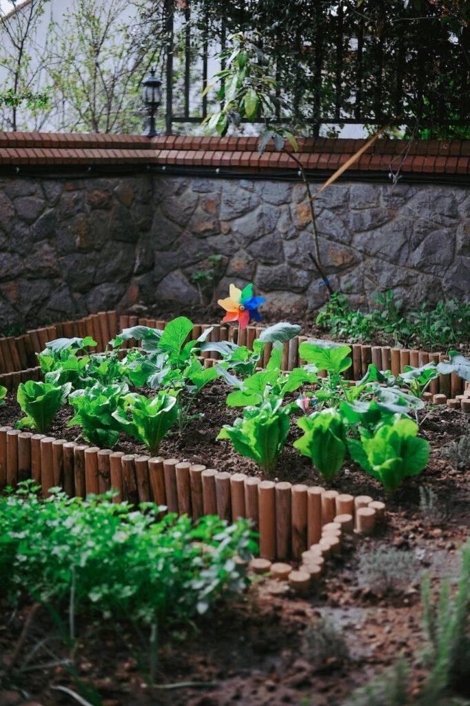 Agroecologia